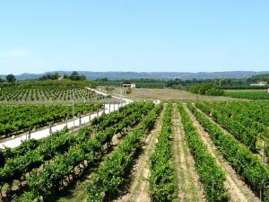 Villas typical provencal farm 18eme in gordes, luberon area in provence with great charm with magnificent view, ideal for family or friends reunions - 12 persons : photos des chambres