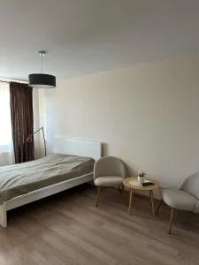 1 kambario butas self check in - Beržynė II