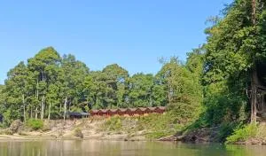 Konglor Cave Resort-Riverside Restaurant - Ban Don Klang