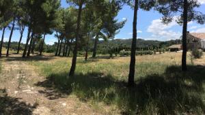 Maisons de vacances typical provencal farm in an exceptional natural site, the alpilles park - 8 people. : photos des chambres