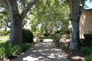 Villas magnificient property with heated swimming-pool in the luberon - 14 persons : photos des chambres