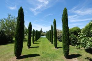 Villas magnificient property with heated swimming-pool in the luberon - 14 persons : photos des chambres