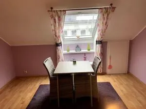 Zentrale, charmante DG-Wohnung - Bonn