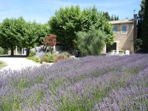 Villas provencal farm house with heated pool located to salon de provence, 12 people : photos des chambres