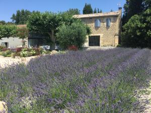 Villas provencal farm house with heated pool located to salon de provence, 12 people : photos des chambres