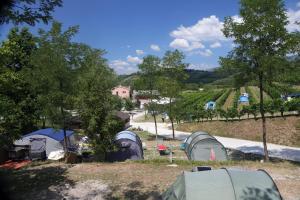 Saxida Wine & Camping Resort Pitches