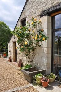 Maisons de vacances Maison confortable a Brehemont avec jardin paisible : photos des chambres