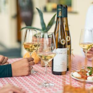 Baudobriga Rheinhotel