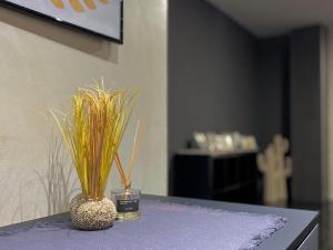 Miséricorde II by ARoom - VUT LE 971