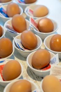 Club del Sole Adriano Family Collection