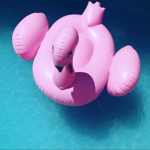 Villas charming house with private pool in lagnes, near isle sur la sorgue, in the luberon, in Provence, for 8 people : photos des chambres