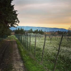 Villas charming house with private pool in lagnes, near isle sur la sorgue, in the luberon, in Provence, for 8 people : photos des chambres