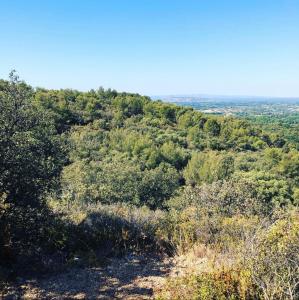 Villas charming house with private pool in lagnes, near isle sur la sorgue, in the luberon, in Provence, for 8 people : photos des chambres