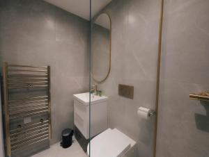 Luxurious Apartment in St Albans