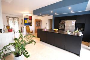 villa with pool and beautiful view in the luberon in pujet sur durance - 10