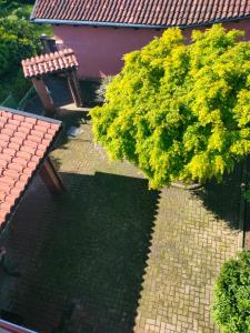 La Frisa Casa Vacanza