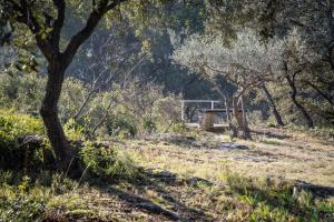 Villas Slpendid villa with heated pool and Jacuzzi for 12 people in Saint-chamas : photos des chambres