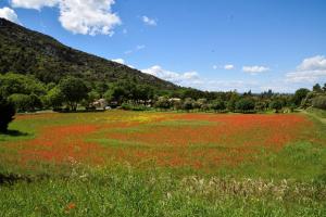 Air-conditioned house with heated pool, Luberon, in Maubec – 6 people