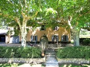 Provencal Farm with swimming pool near Isle sur la Sorgue - 10 people. - Les Vignères