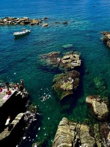 la Chiglia