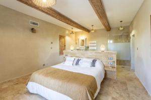 Provencal farm with heated pool in Lamanon near Aix en Provence - 12 people