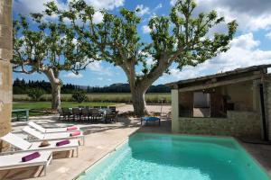 Provencal farm with heated pool in Lamanon near Aix en Provence - 12 people