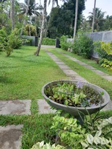 Cinnamon River Apartments