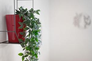 Ferienwohnung aufm Weinberg 0G