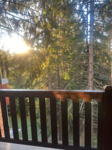 Ruža vetrova A1- duplex