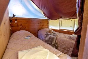 Campings Camping Les Ballastieres - Vosges du Sud : photos des chambres