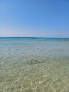 RESIDENCE BLANCO GARDEN 2 a 100 MT a piedi dalla spiaggia di POSTO VECCHIO, MARINA DI PESCOLUSE