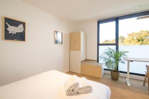 Appartements Hoedic - studio lumineux : photos des chambres