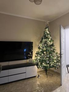 FIA Rentals Tirana 9 - Panoramic View