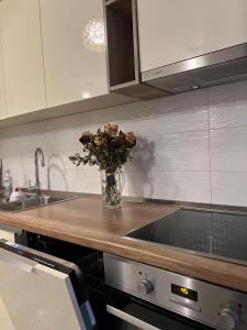 FIA Rentals Tirana 9 - Panoramic View