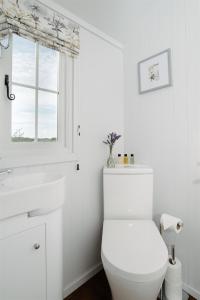 Shepherds Hut at Chenhall Farm