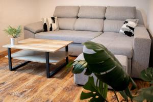 Acollidor apartament a la muntanya, Molí 1