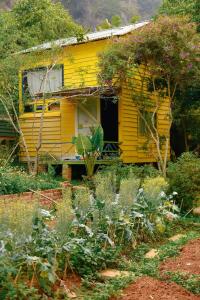 Stella Mộc Châu homestay - Ubytování bez kategorie ve městě Moc Chau