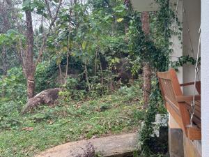 Farm stay in a coffee plantation