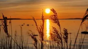 Ferienhaus Ostseebodden - Reinberg