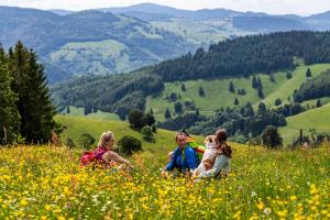 Ferienwohnung "zwischen drei Seen", Feldberg-Falkau