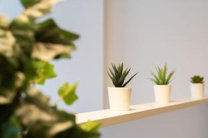 Elegant Studio in the Heart of Brno