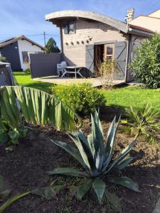 Chalets Chalet : photos des chambres