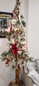 Mala Lu Central Apartment