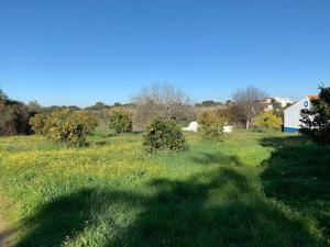 Country house Arraiolos Alentejo