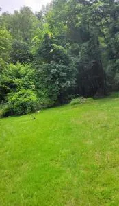 La Calèche - 拉尼