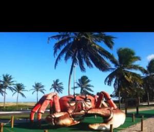 Ap a 800m da praia da Atalaia