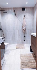 Luka Brown Palanga Apartment