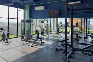 Los Mandalas en Arena Vive el Parque