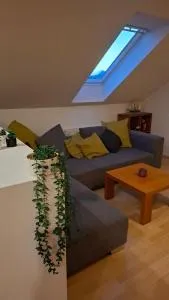 Apartma Jean - Rovte