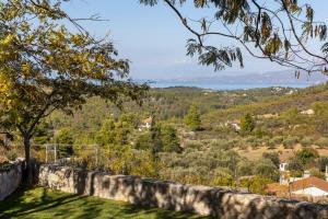 Villa Marrone Splendid Seaview